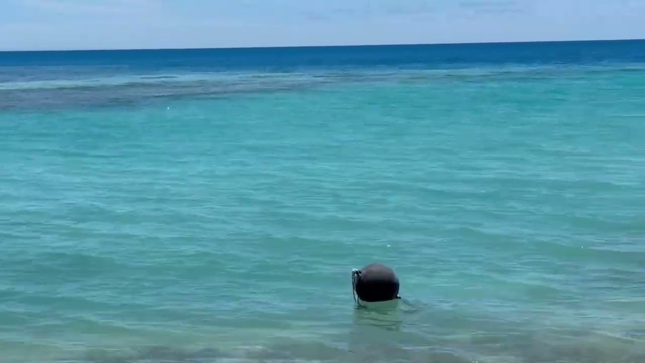 Utrok Atoll bija Jan iaar in Jebde Wato 