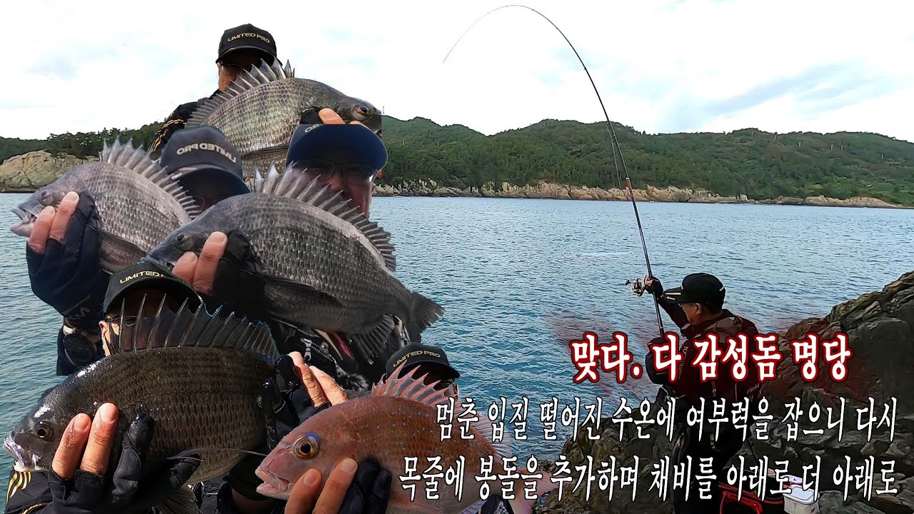 입질이 약하다. 떨어진 수온과 여 부력 제로에서 이어진 입질 #가을 감성돔 #fishing #본류대낚시#초도