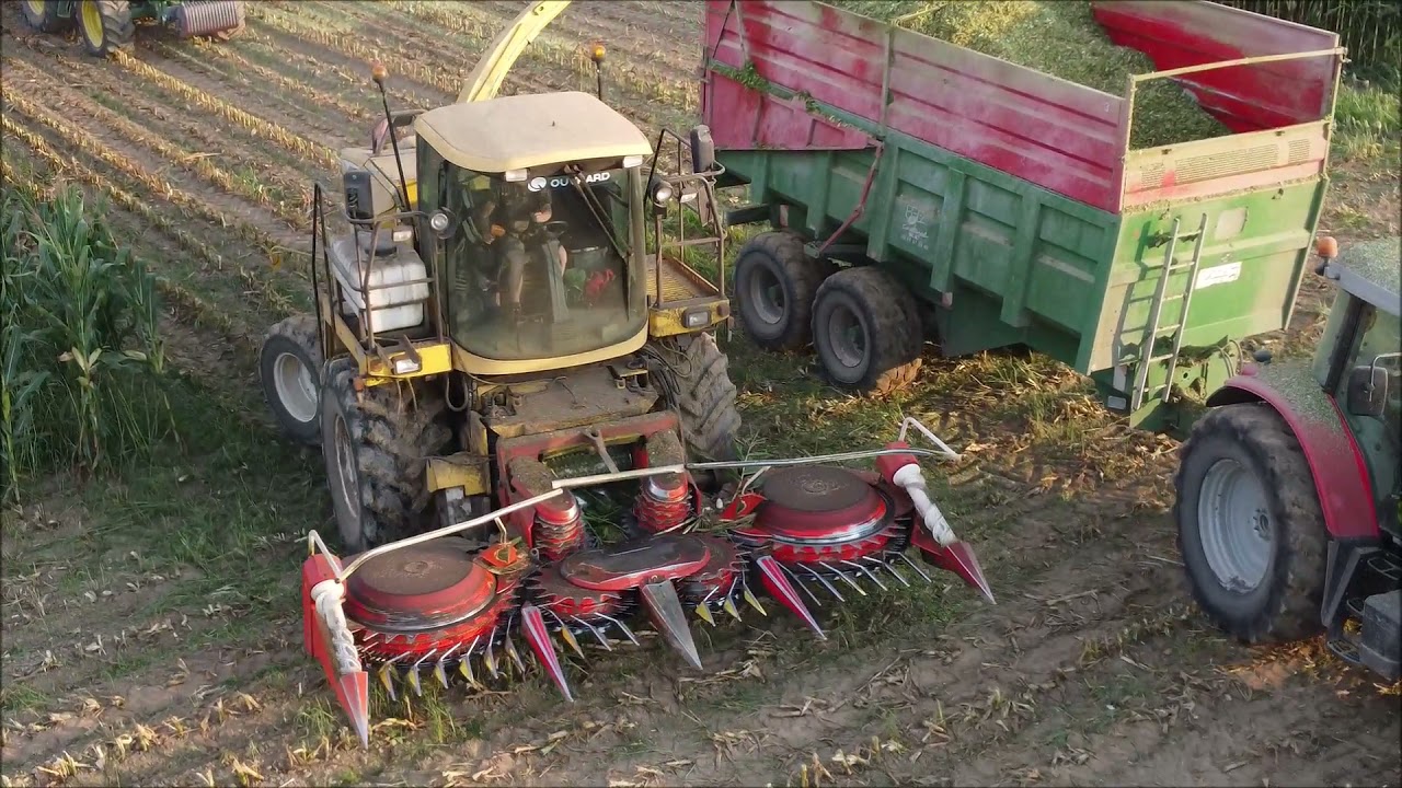 Ensilage maïs / 2021