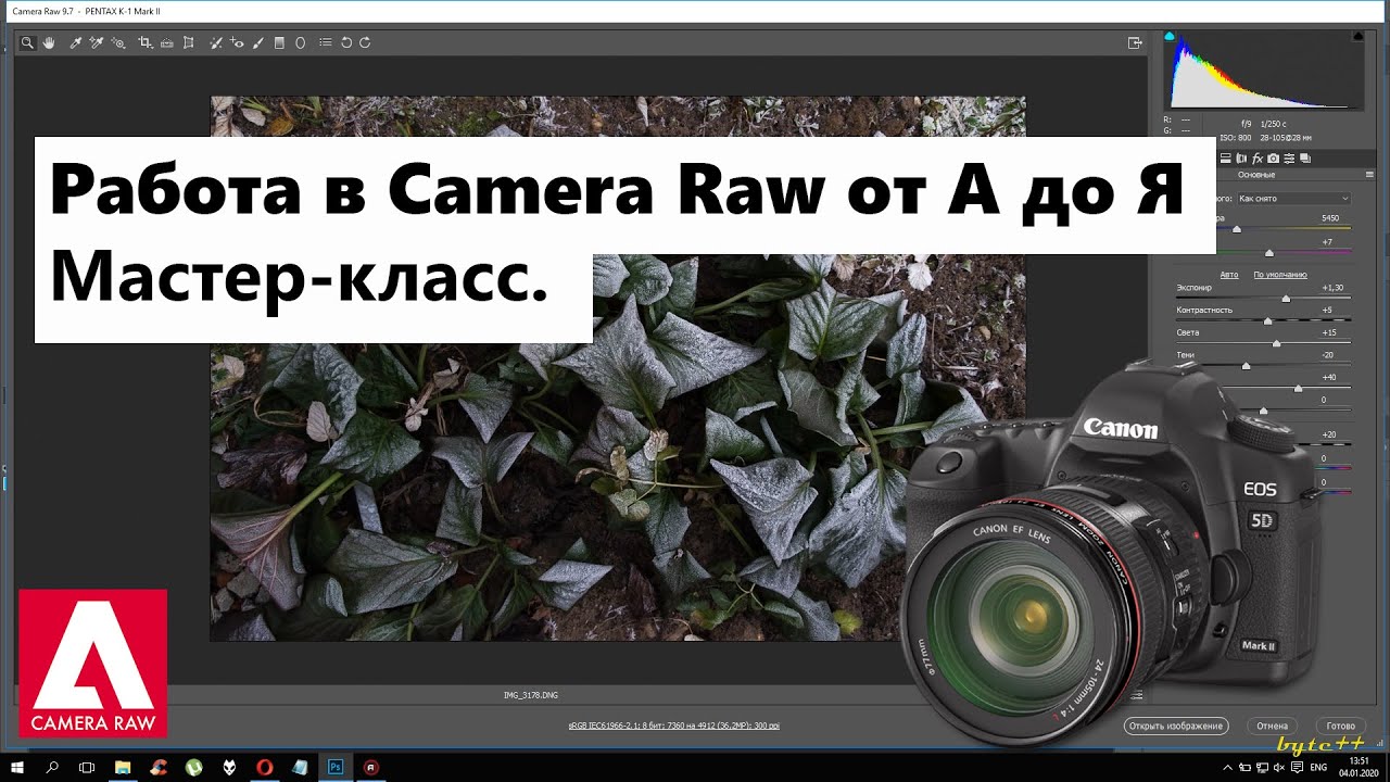 Camera Raw. Учимся работать с RAW. Базовые навыки. Всё что нужно знать для работы.