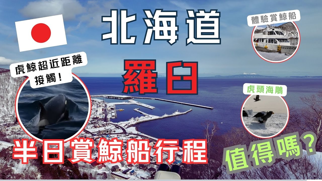 北海道羅臼｜極北探險！夢幻出海體驗！賞鯨・賞鷹・賞海鷗全攻略 Rausu Town, Hokkaido, Japan