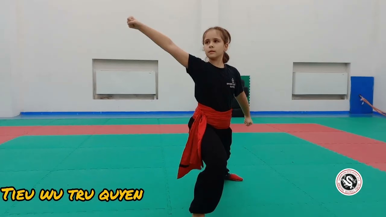 Kung fu forme @LeminilezionidiartimarziAli
