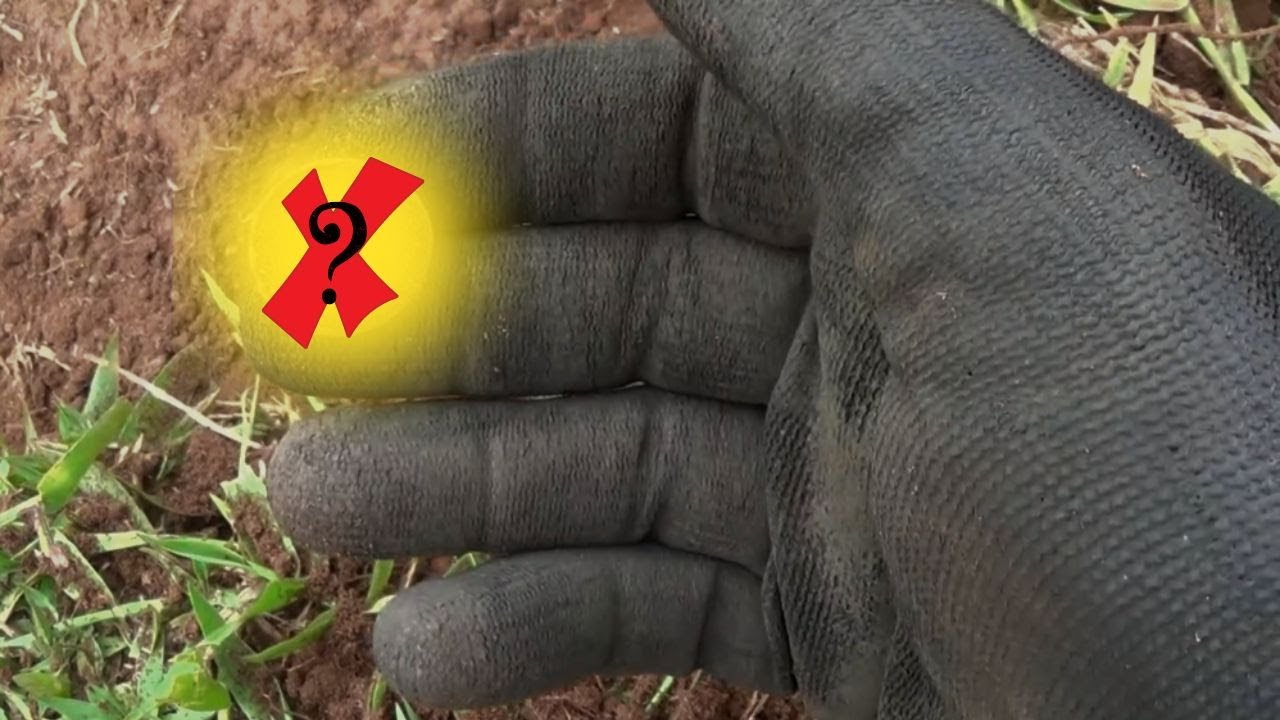 Será Que Isso É Ouro? Veja o Que Encontramos Hoje!