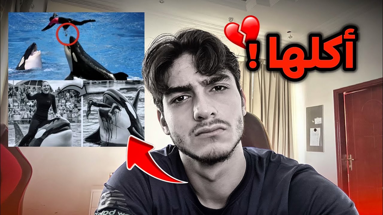 بعد ما ربته واعتنت فيه غدر فيها ! 🐬💔