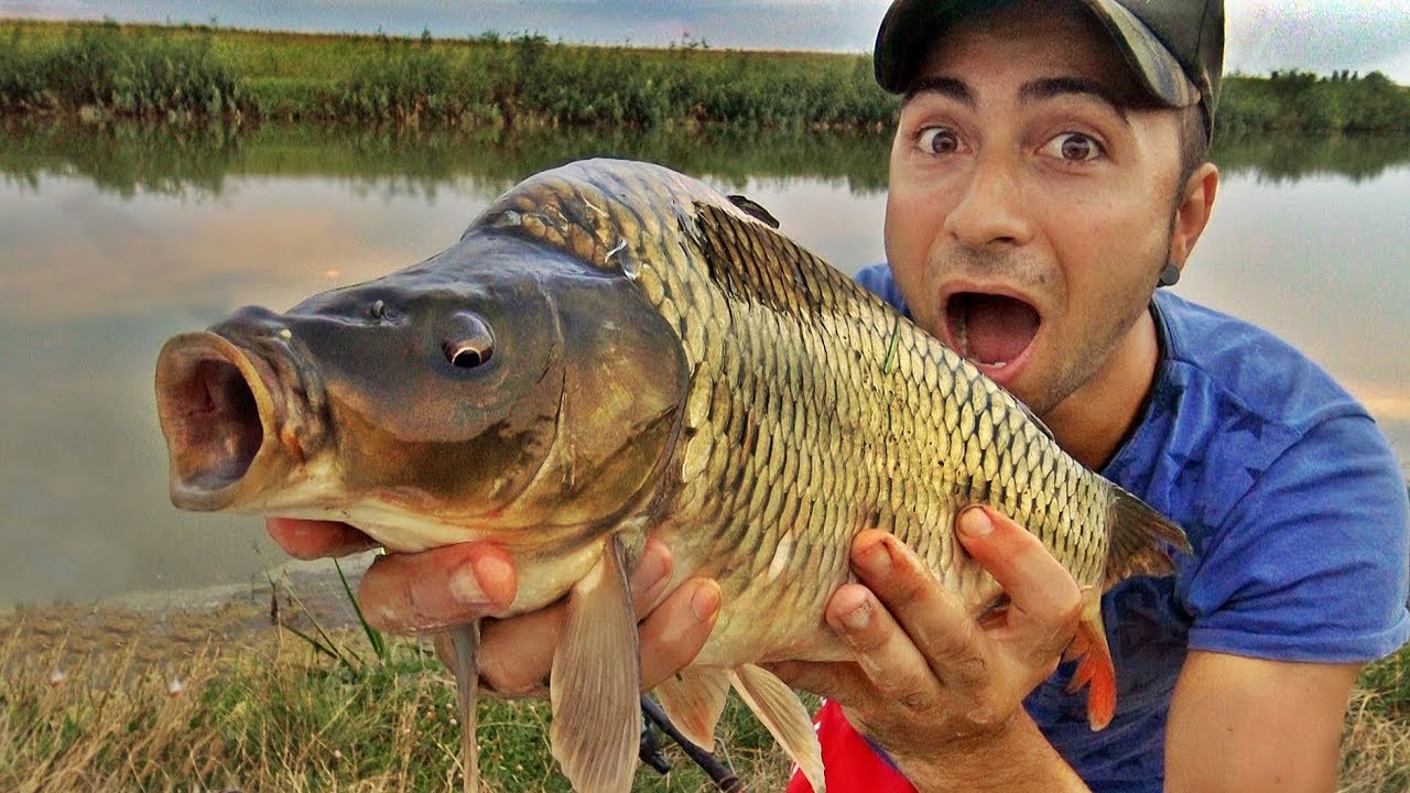 LA PESCUIT DE CRAP SI CARAS PE BALTA CEA MAI FRUMOASA CAPTURA OMG