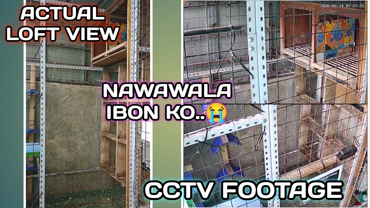 NAWAWALA IBON KO..😭
