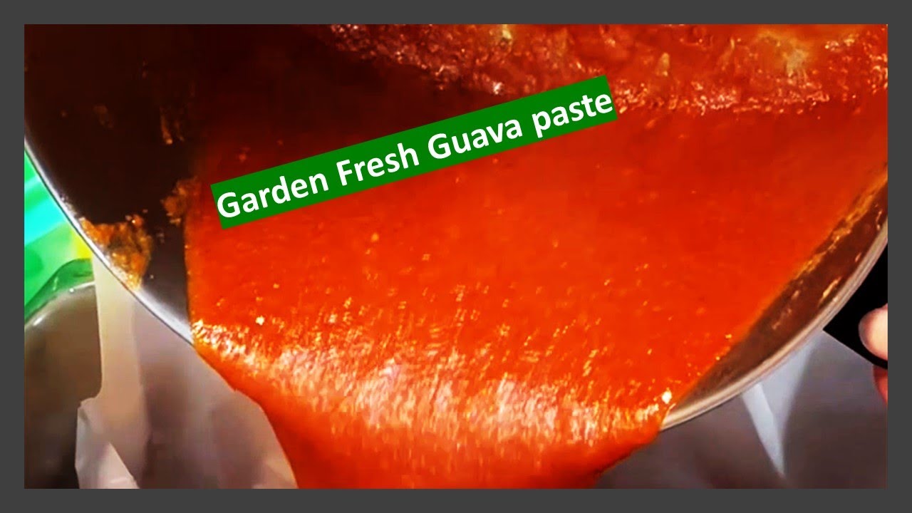 #howto make GUAVA paste| The Soaring Eagle Ranch 🦅