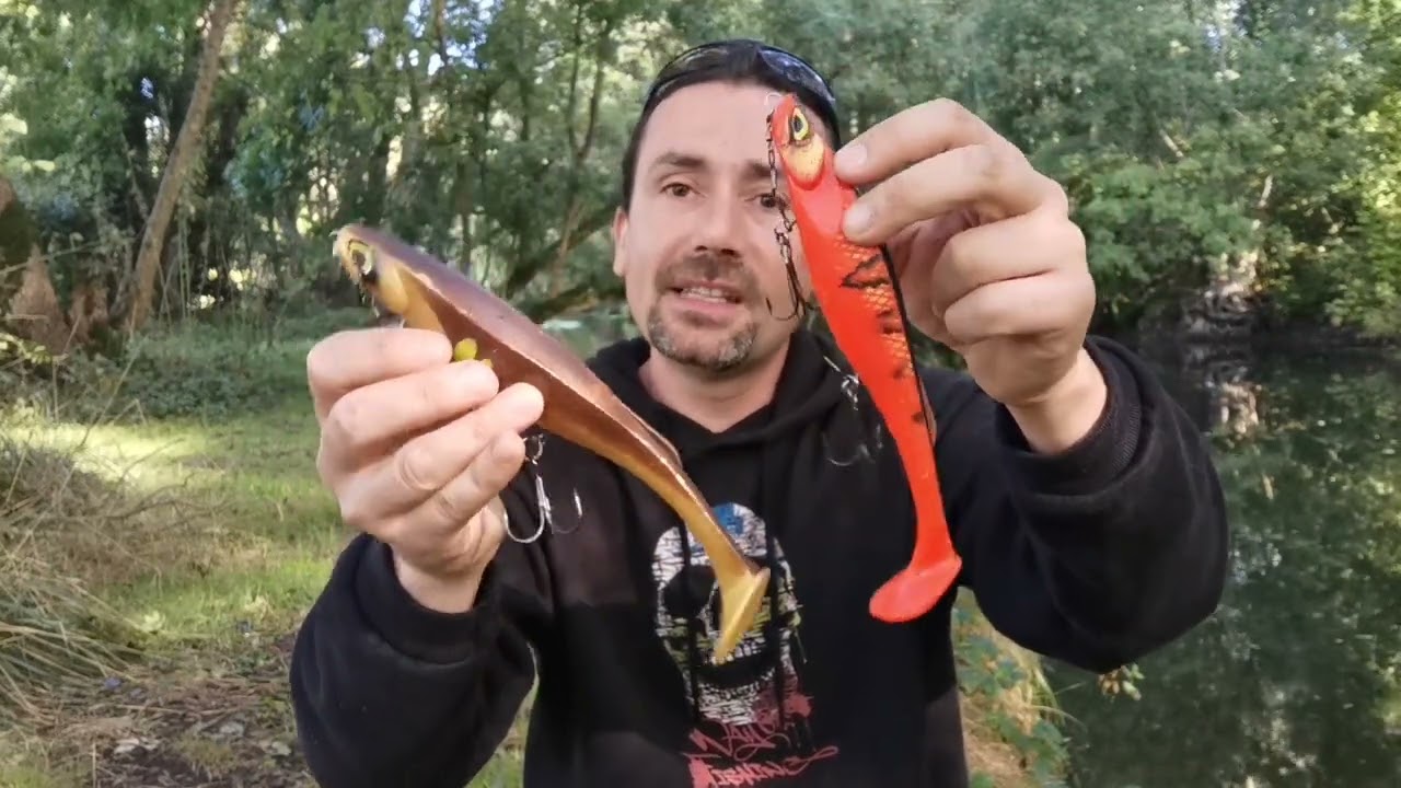 Le Ram Shad de chez Fish Up pour la pêche du brochet