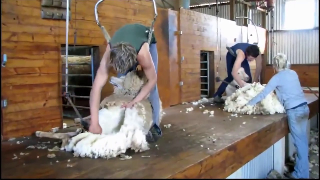 FAST WORKERS COMPILATION SUPER HUMAN LEVEL  2017