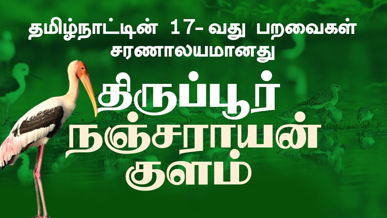 தமிழ்நாட்டின் 17 - வது பறவைகள் சரணாலயம்  - திருப்பூர்  நஞ்சராயன் குளம்
