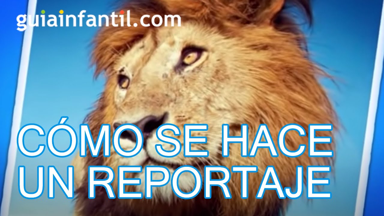 El proceso de elaboración de un reportaje