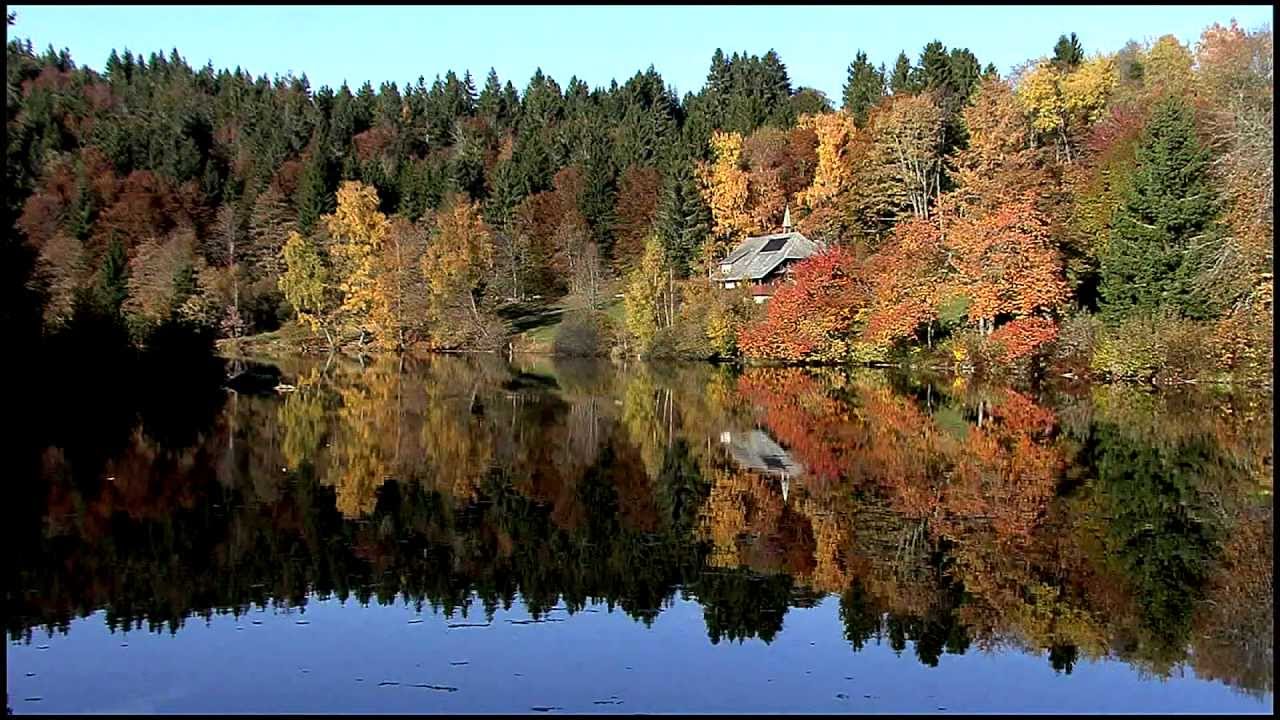 Herbstimpressionen