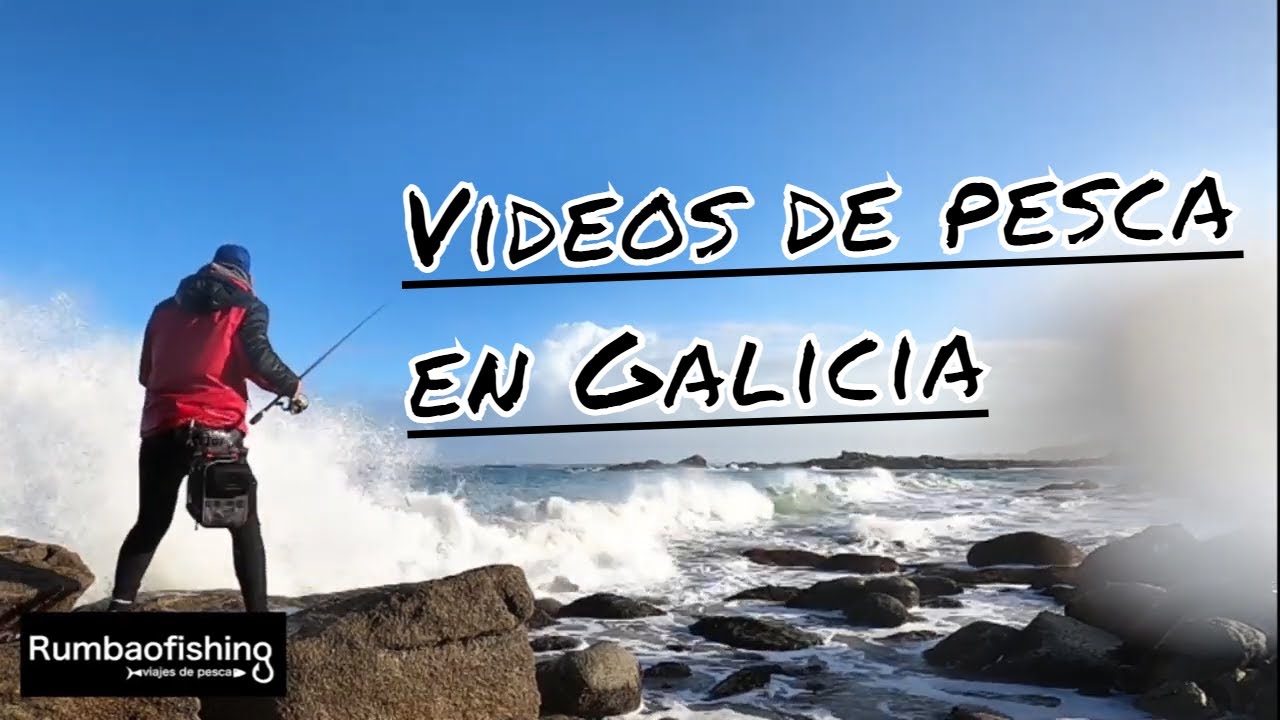 ❣️🎯 [VIDEOS DE PESCA] Pesca de lubinas desde rocas en Galicia. www.rumbaofishing.com