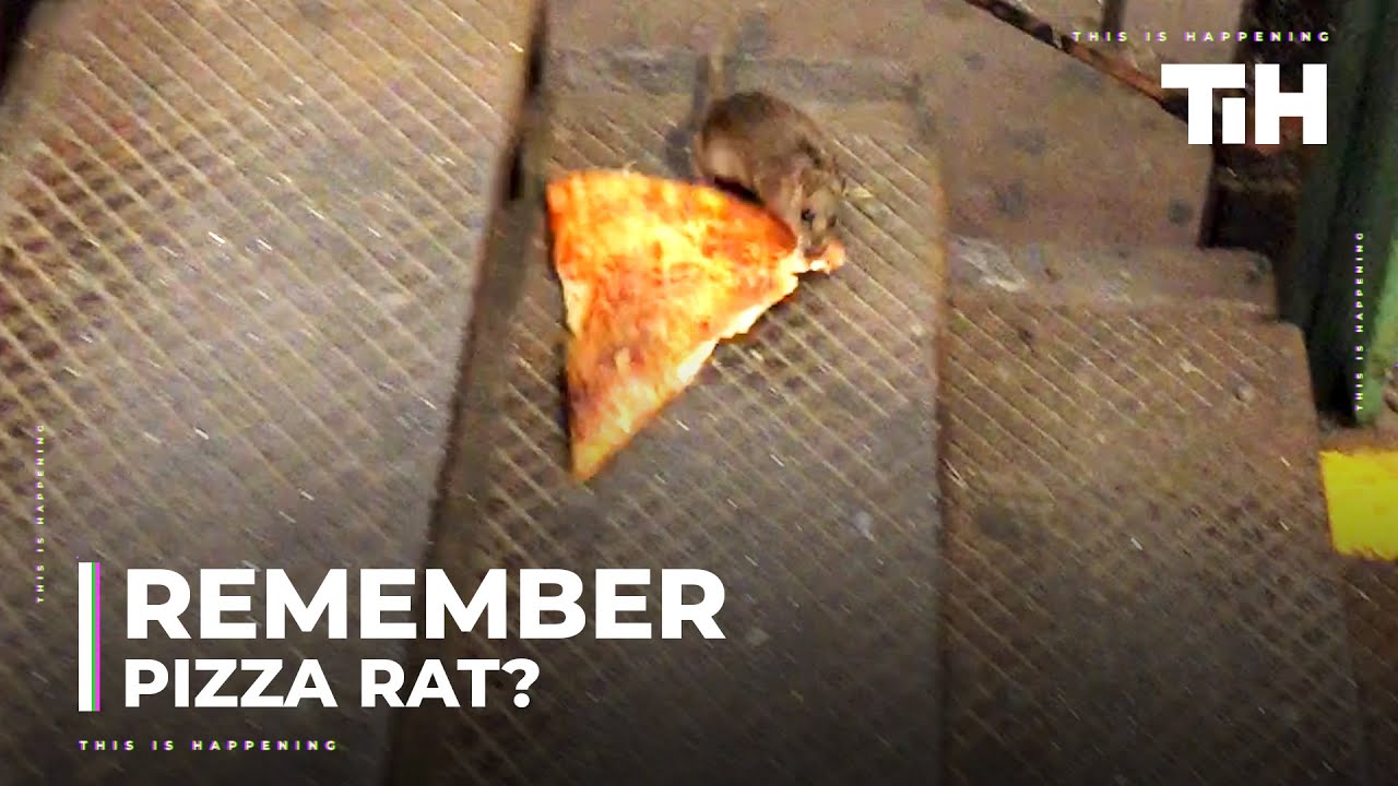 Remember Pizza Rat?