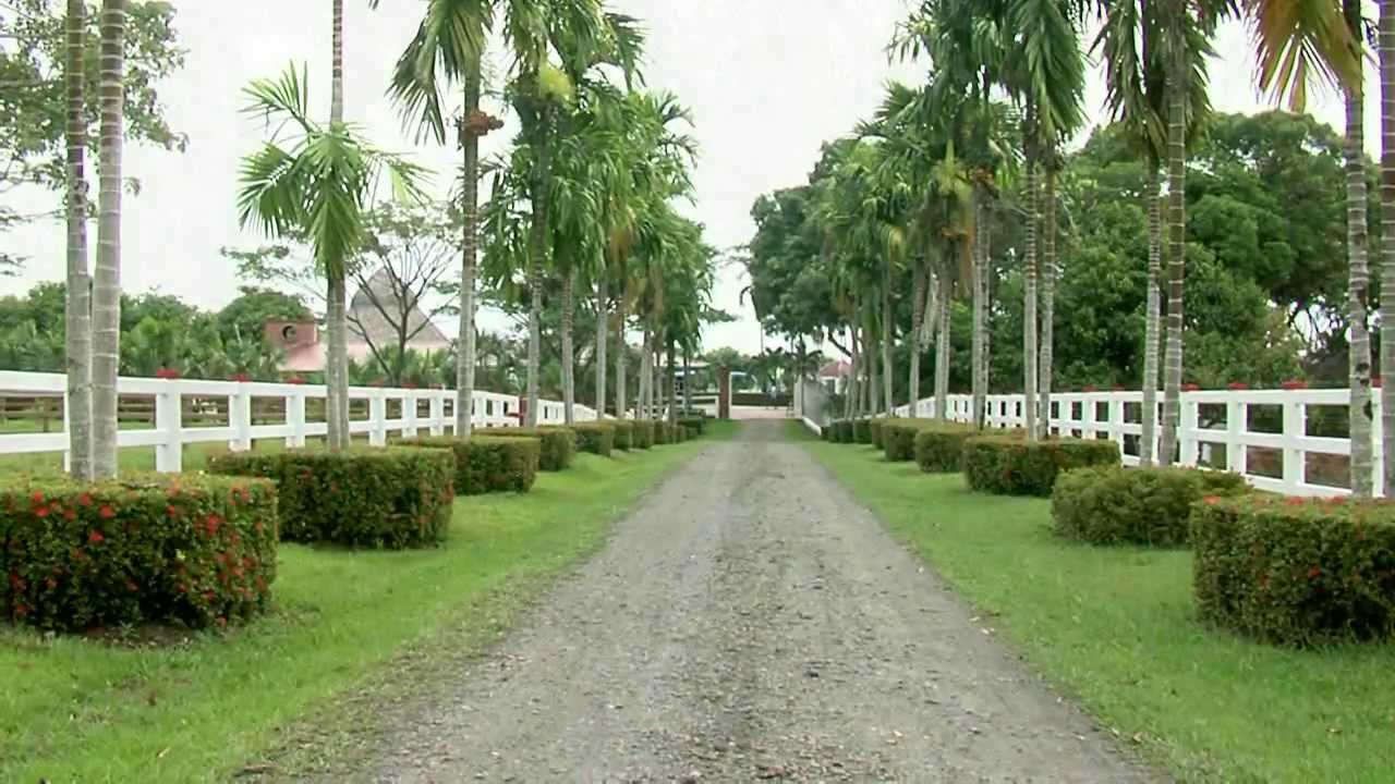 HACIENDA VILLA TATI