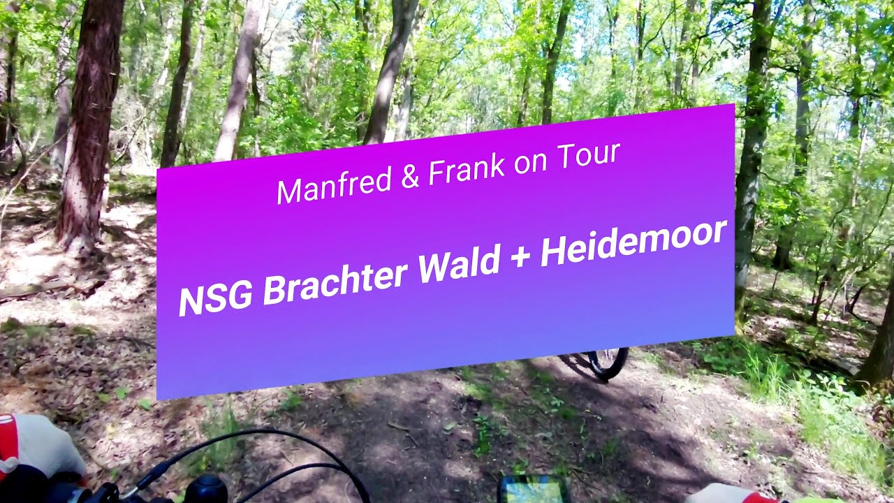 Mit dem E-MTB durch das NSG Brachter Wald und Heidemoor