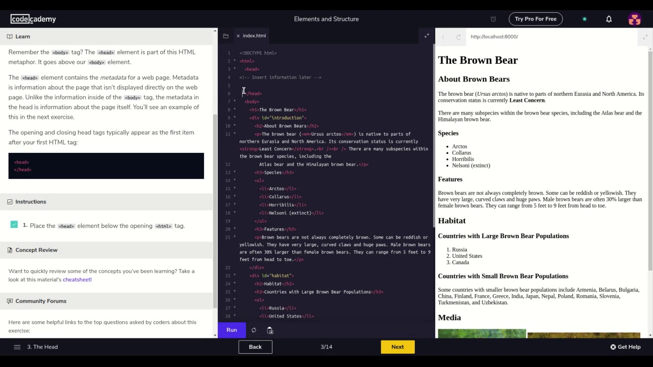 Learn HTML with Codecademy HTML Document Standards Part 1