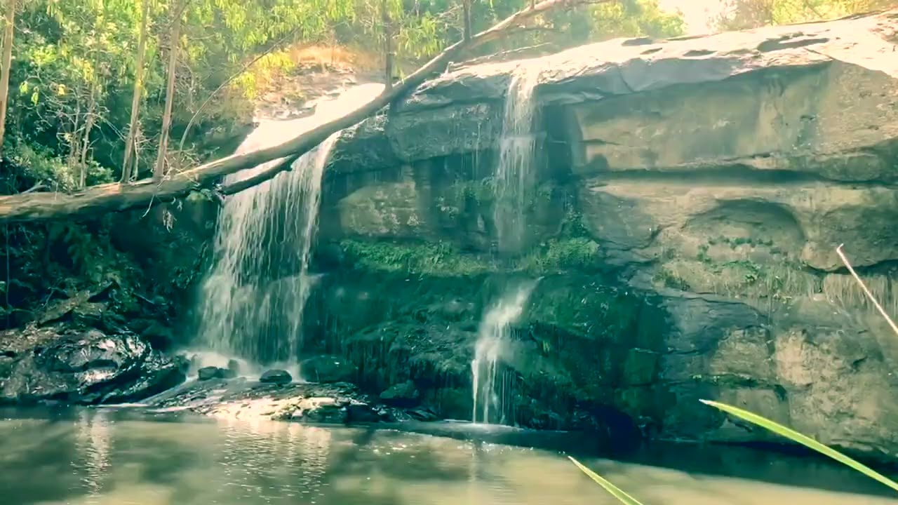 hiking in the otways