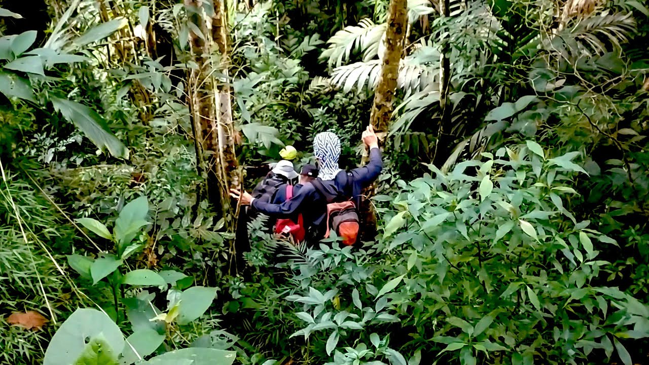 VENEZUELA - Topo Santa Rosa - Parque Nacional Waraira Repano (El Avila)