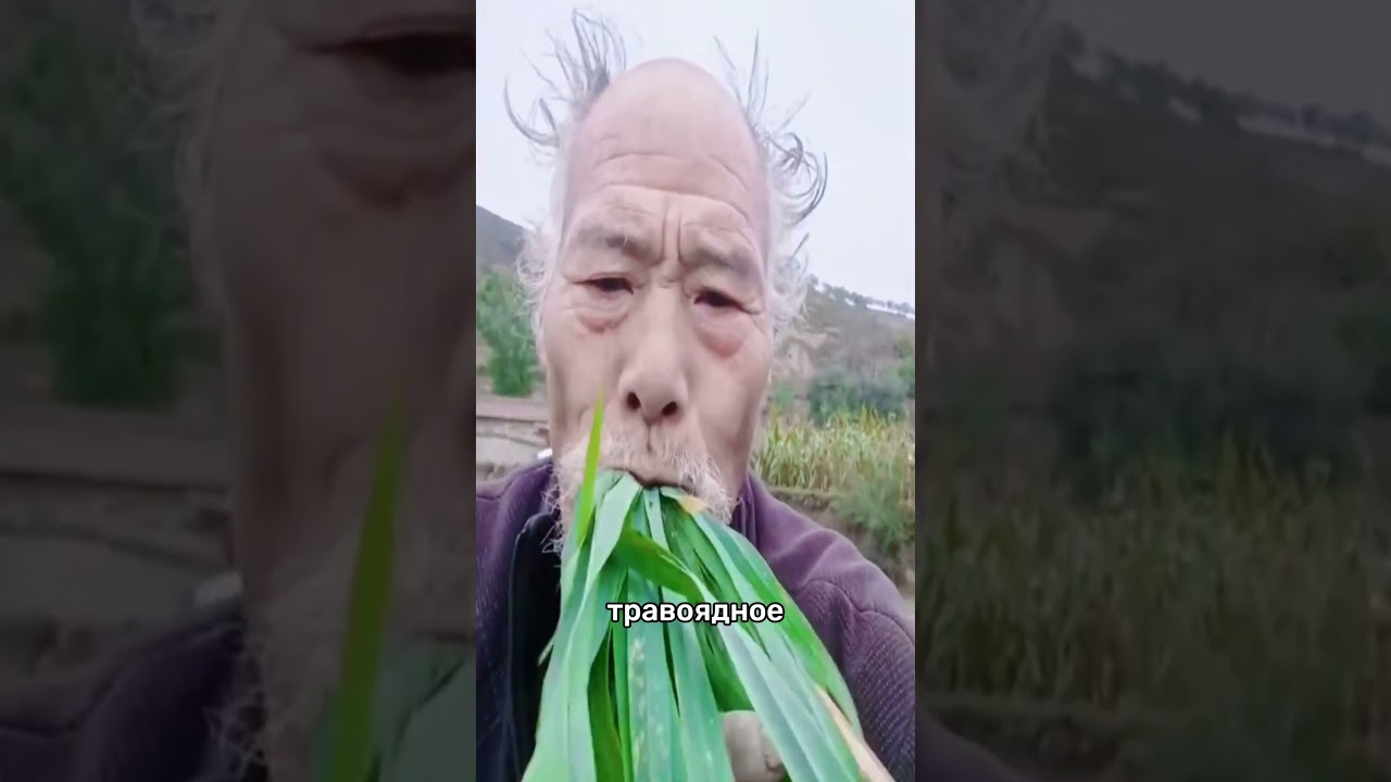 ПРОШЁЛ GTA БЕЗ УГОНА АВТО