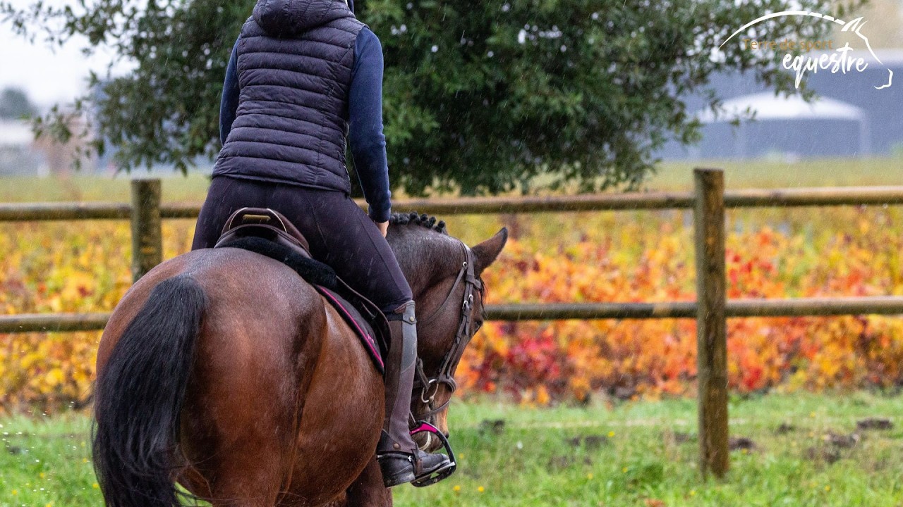 Pourquoi mon cheval ne s'incurve pas ?