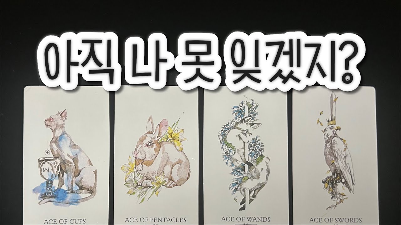 아직 나를 못 잊고있을까? 그사람 연락가능성은?