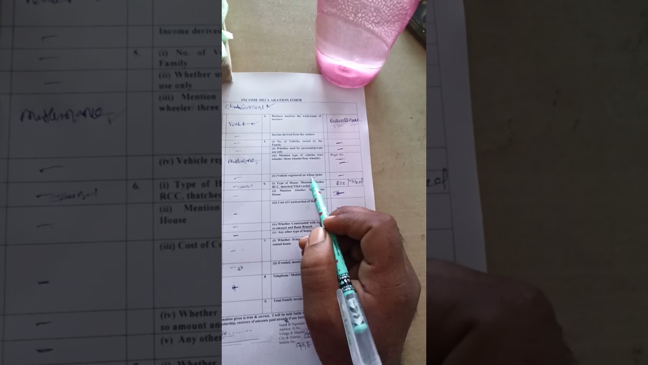 epass renewal income declaration form filling