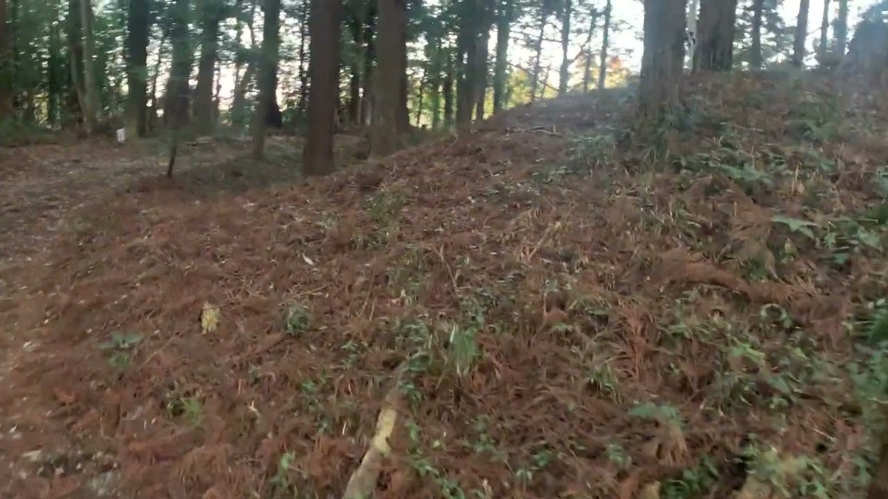 並木城(千葉・下総)_中世期にしては珍しい、二重の空堀と土塁がよく残る城跡_2026/3/8