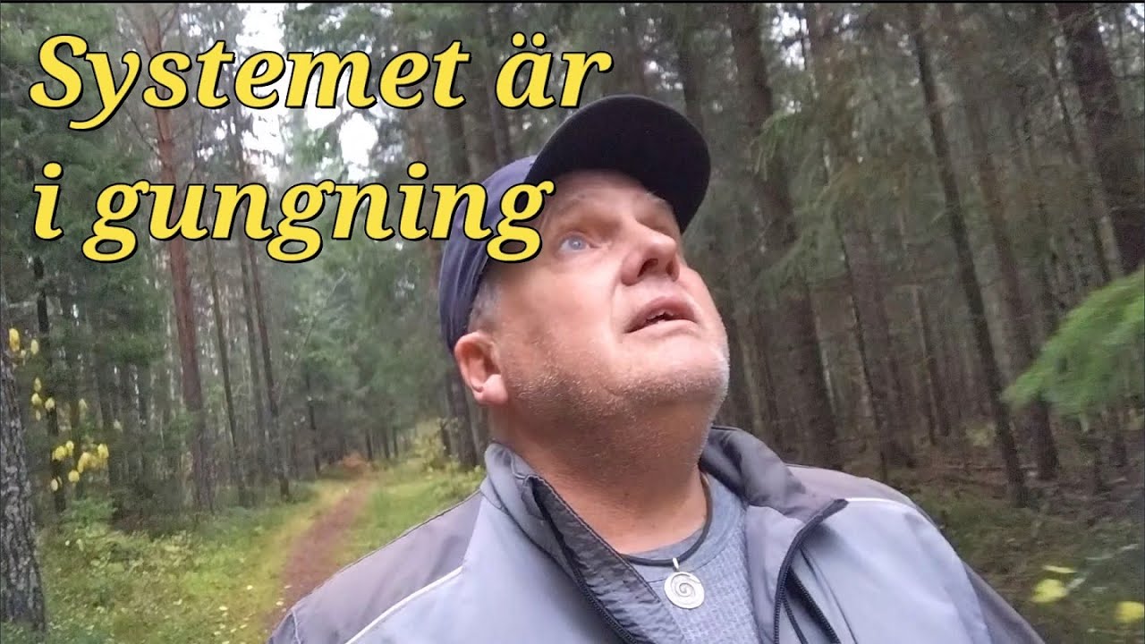 Sluta med skiit