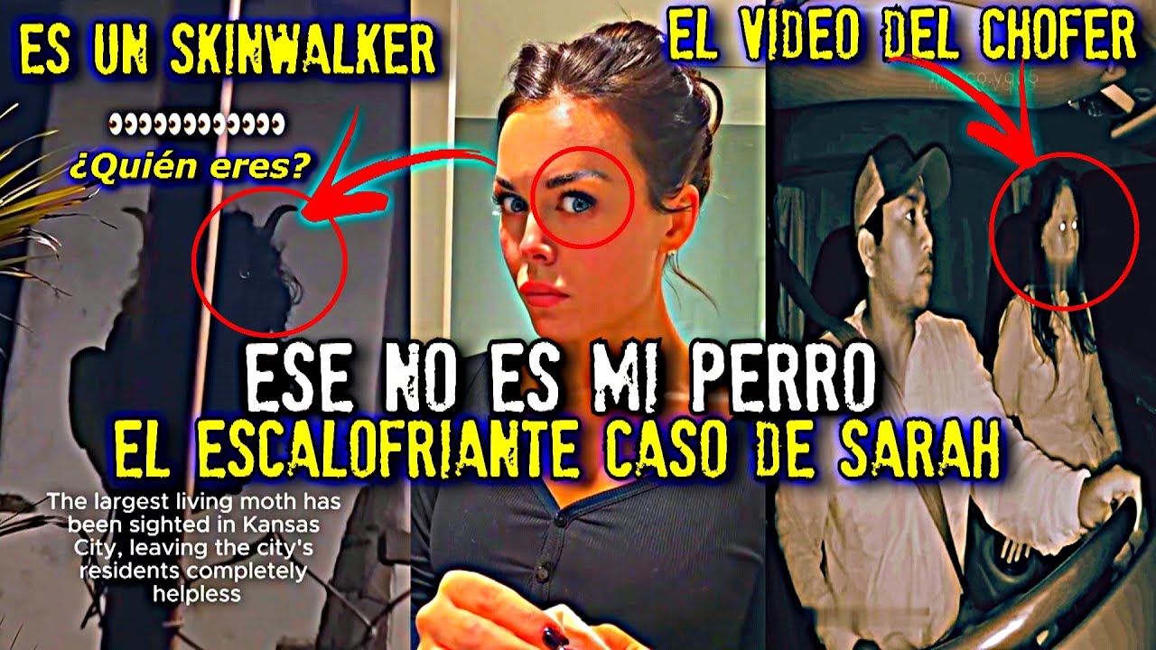 Ese no es mi perro | El escalofriante caso de Sarah