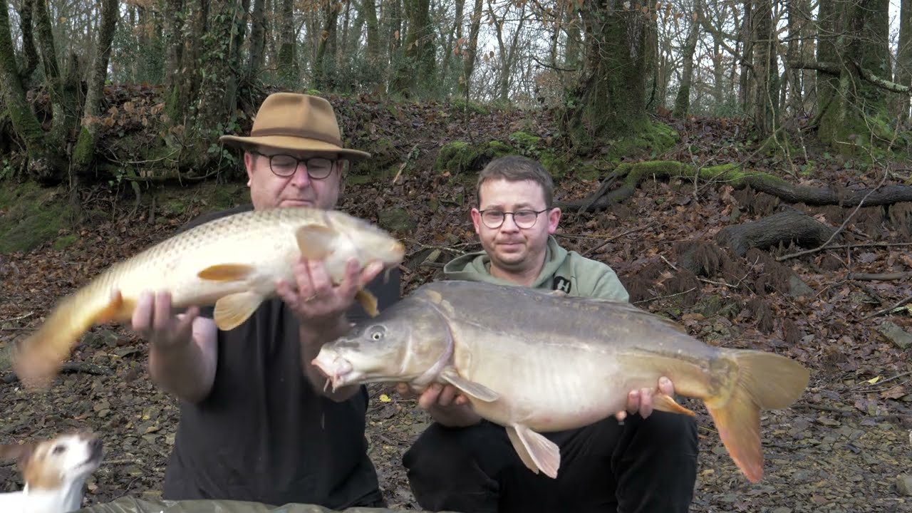 Pêche de la carpe au lac de Mervent #vendée #carpe #sauvage #lac #hollandbaits #lcatackle