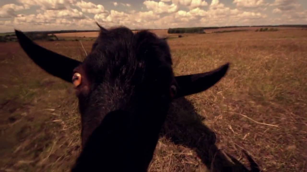 He-goat vs Ultra Prime 8R/T2.8
