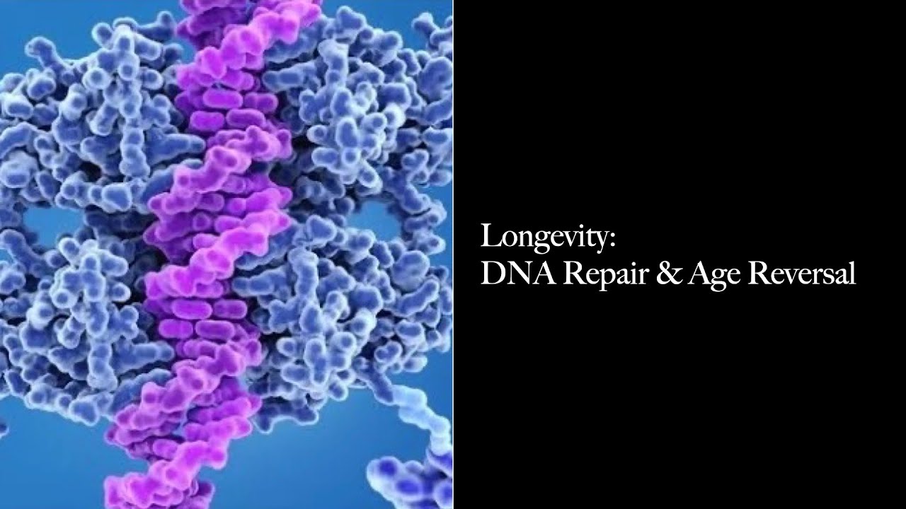 Longevity - DNA Repair & Age Reversal #014