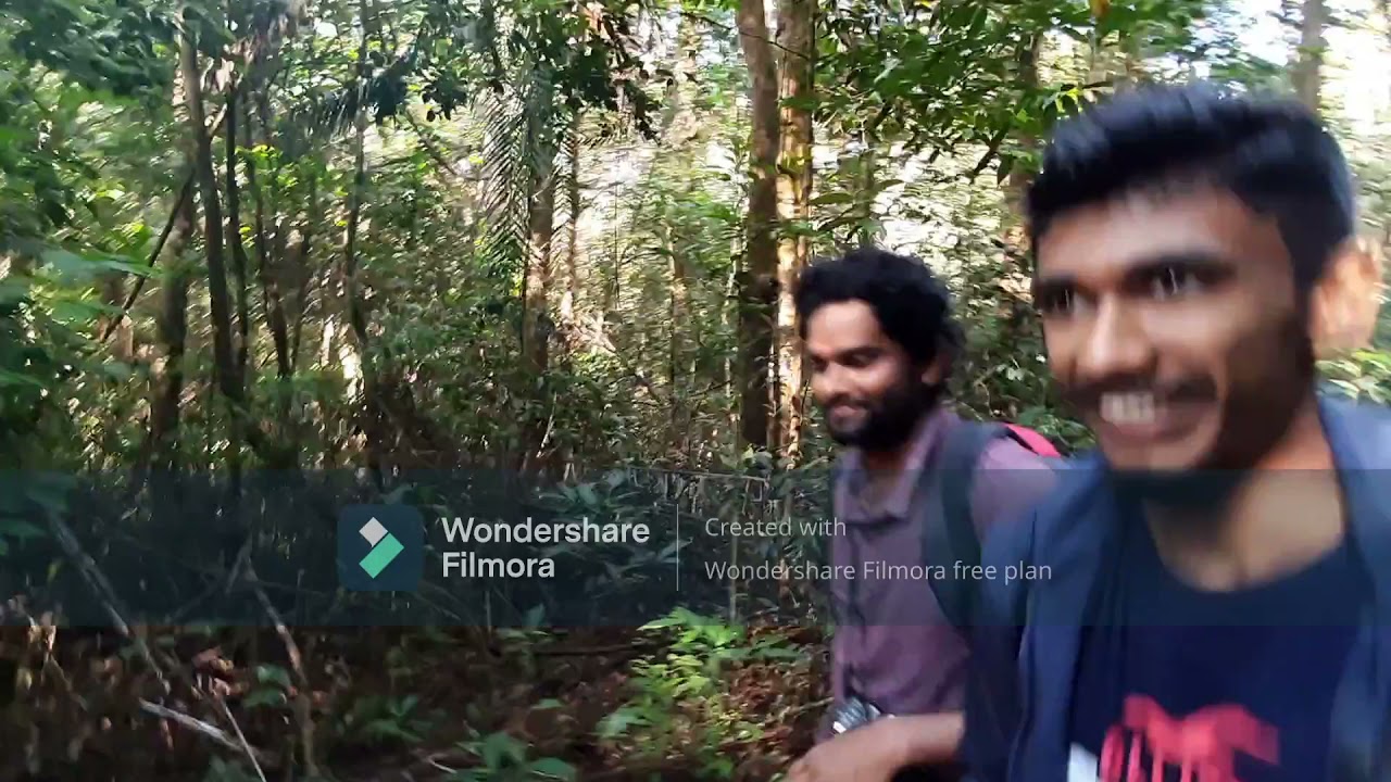 Sinhagala -Sinharaja rainforest