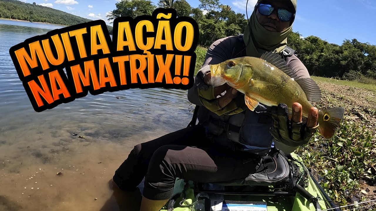 MATRIX VENENOSA NO ULTRA LIGHT! 🎣 TUCUNARÉS E OSCAR NO LAGO DE CORUMBÁ