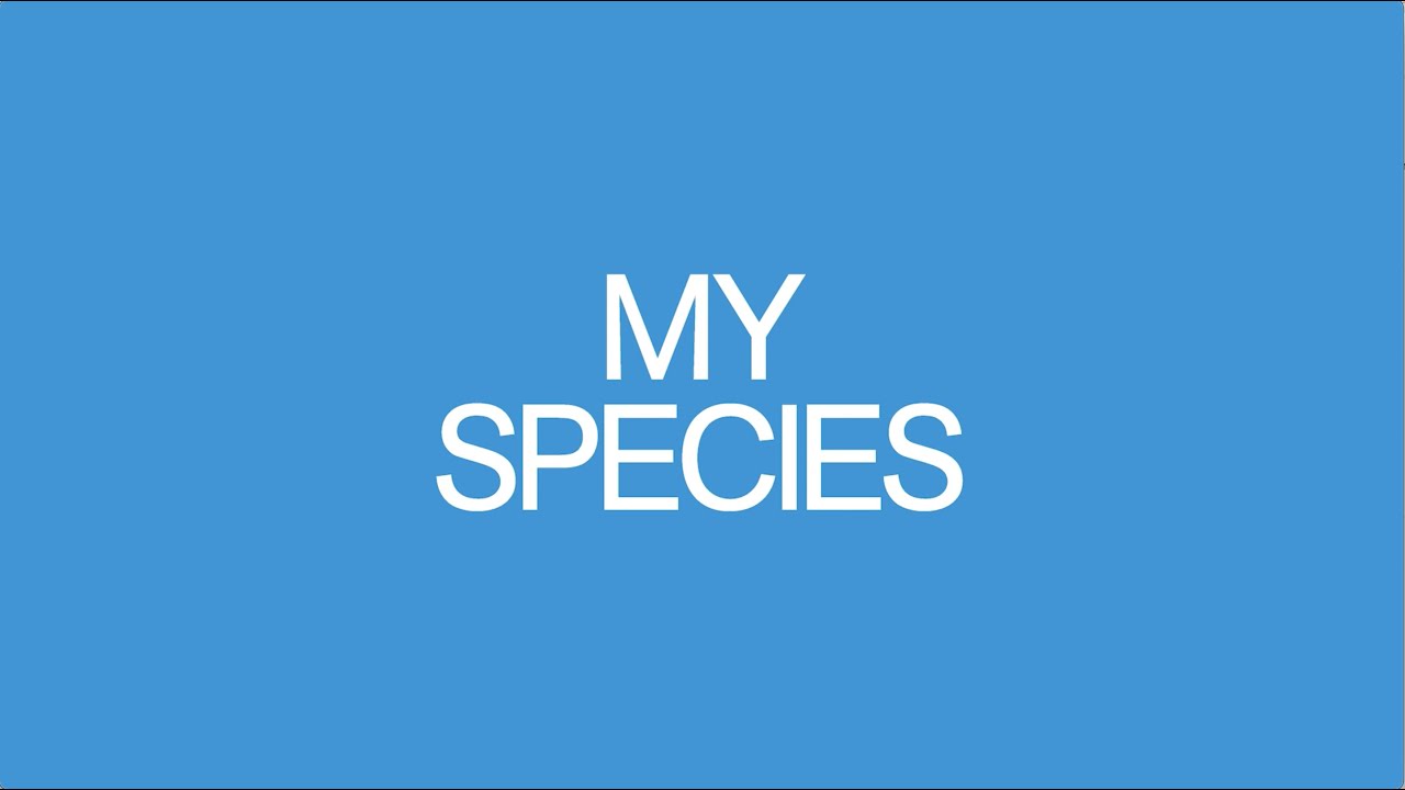 Feifei Zhou - MULTISPECIES WORLDBUILDING
