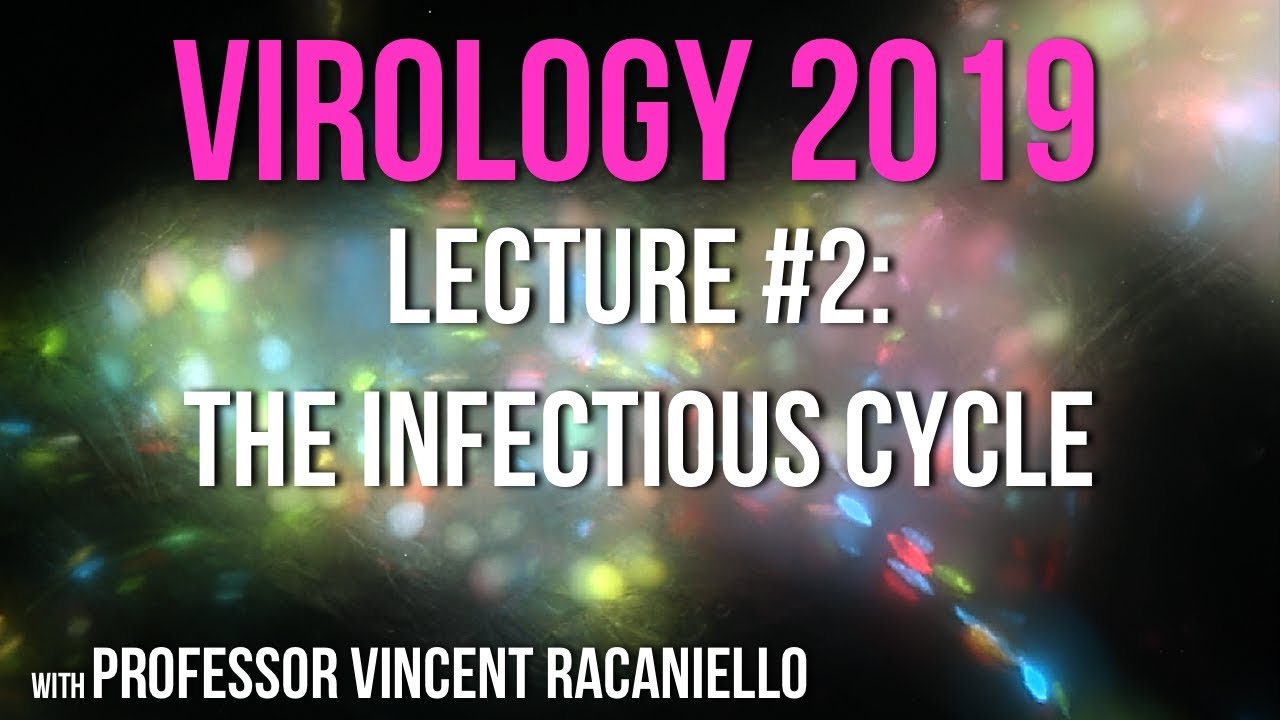 Virology Lectures 2019 #2: The Infectious Cycle