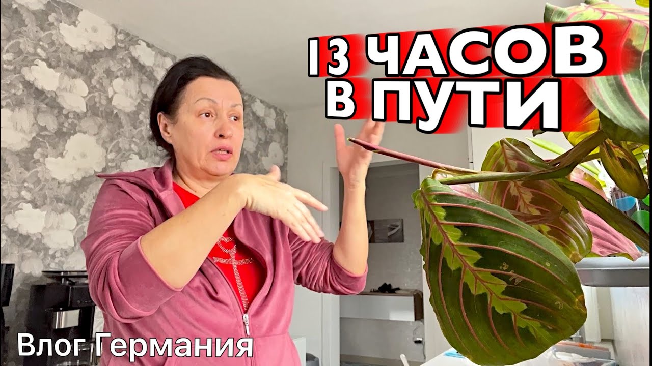 ДОВЕРИЯ БОЛЬШЕ НЕТ 