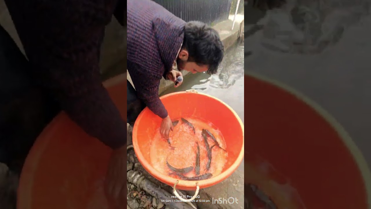 Sakoon Live Trout Fish Farm & Restaurant | Grilled/Fried/ Live Available Kp Rd Akad Park Anantnag 