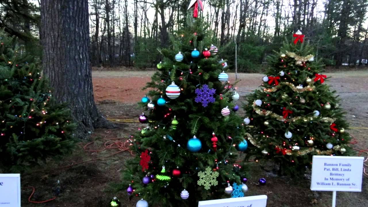 slater park christmas trees 2014 hd rhode island ri tree