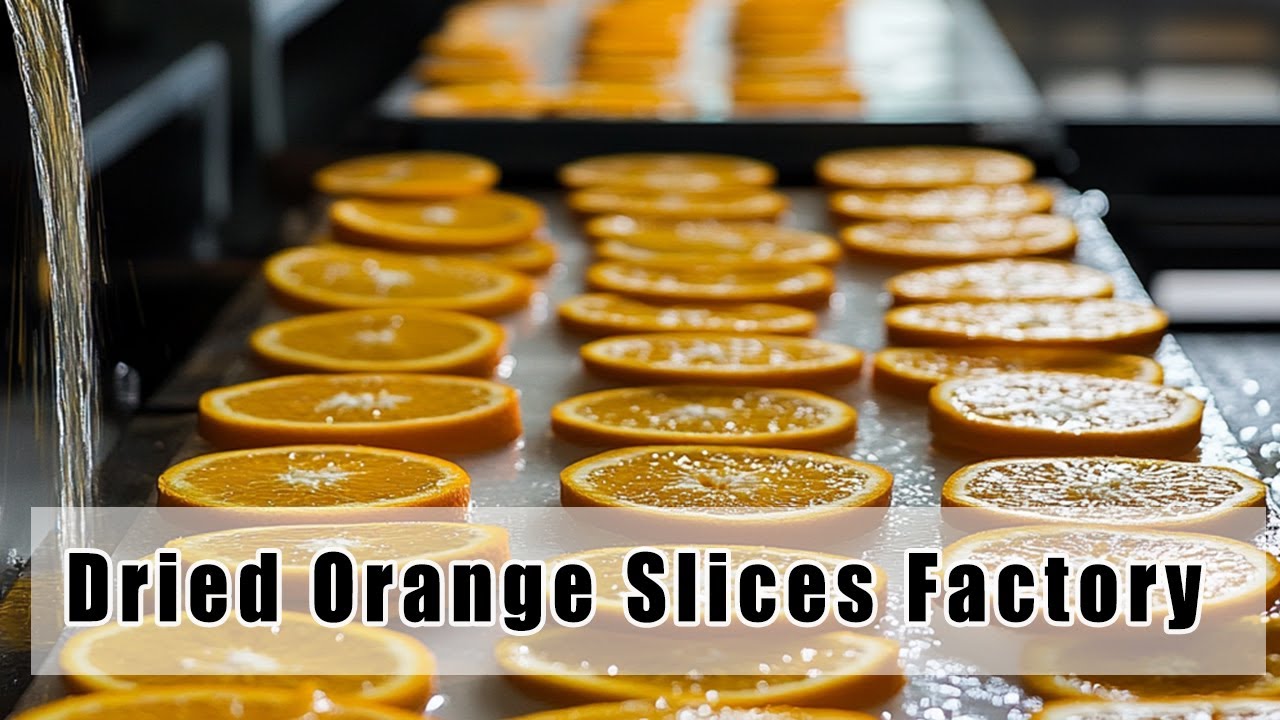 How a Factory Produces Dried Orange Slices