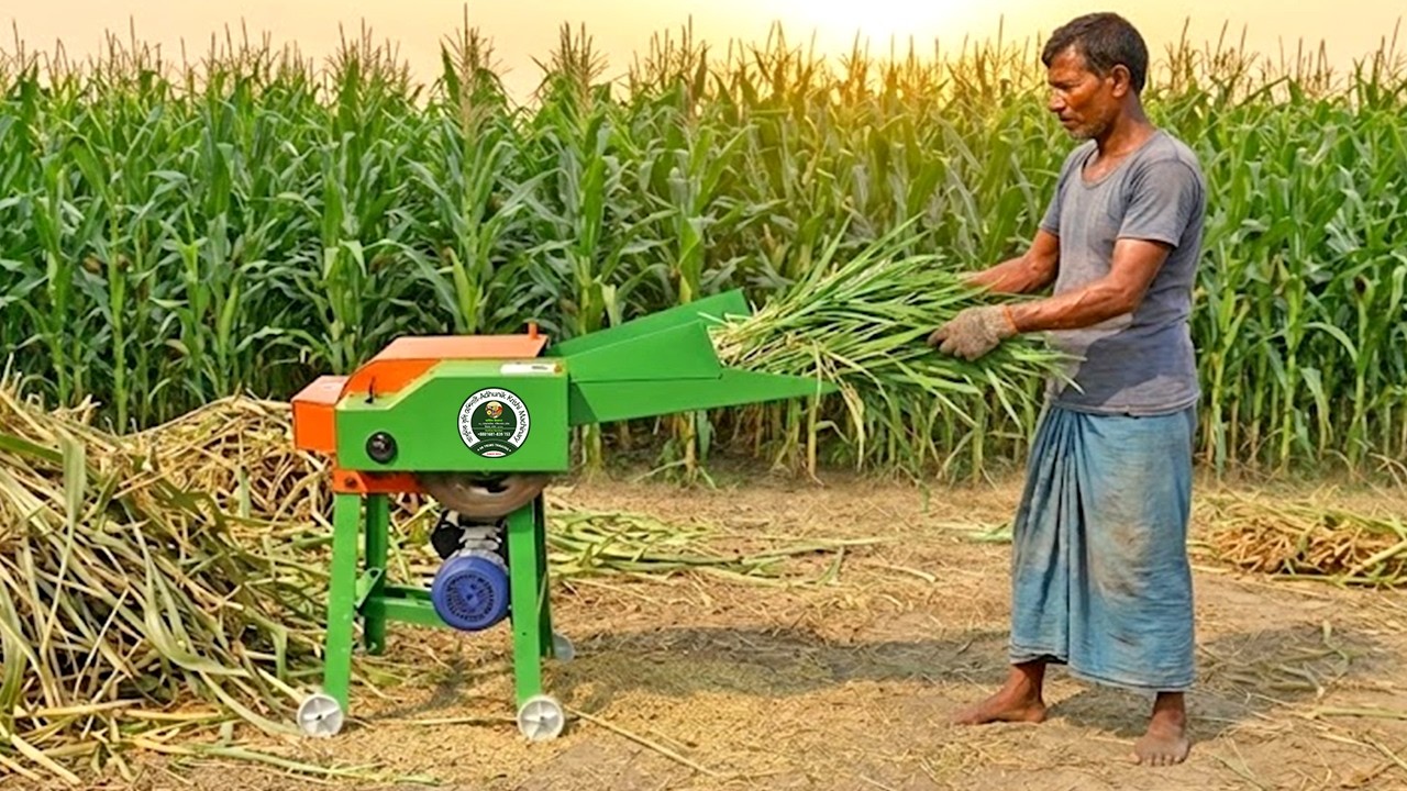 ঘন্টায় ১ টন ঘাস কাটবে চায়না ঘাস কাটার ছোট মেশিন - 4 Blade Grass Cutter