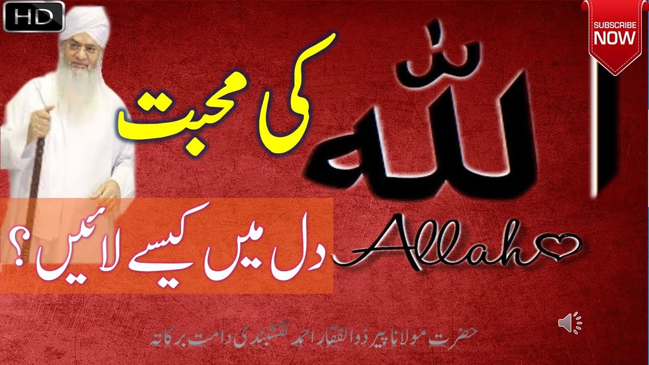 ALLAH ki Mohabbat dil main kaisy lain || Peer Zulfiqar Naqshbandi