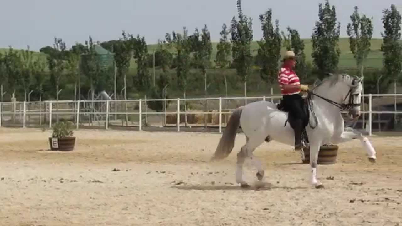 QUERQUS AZORES & RAFAEL SOTO