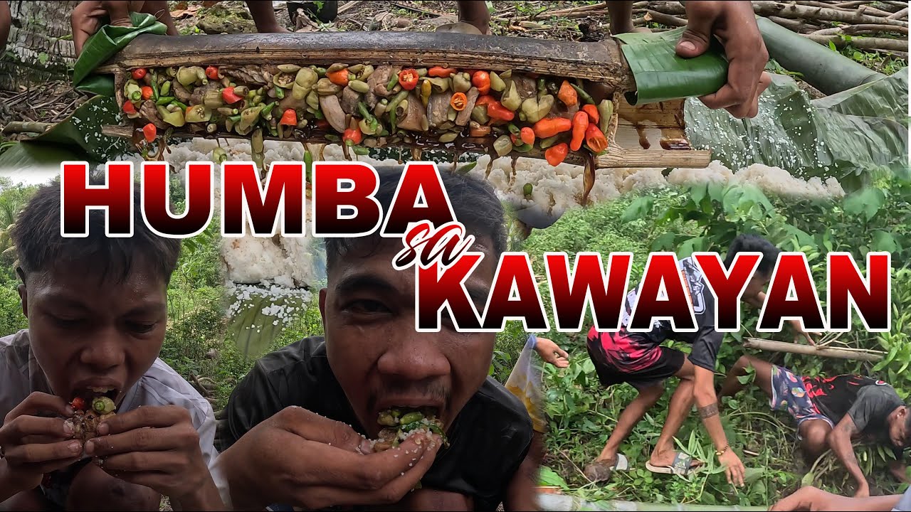 Nakatilaw nakag Humba sa kawayan agawn? - Kadako sa tamboboan!