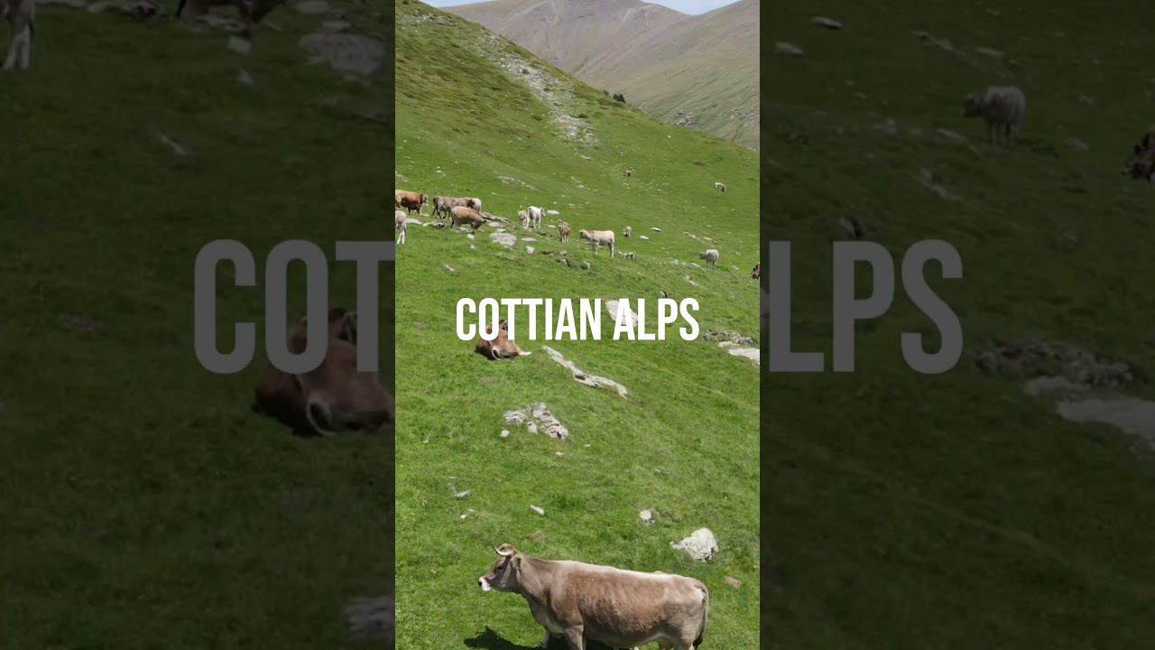 Cottian Alps Expedition: Preview #CottianAlps #shorts #outdoorexploration #naturelovers #travelvlog