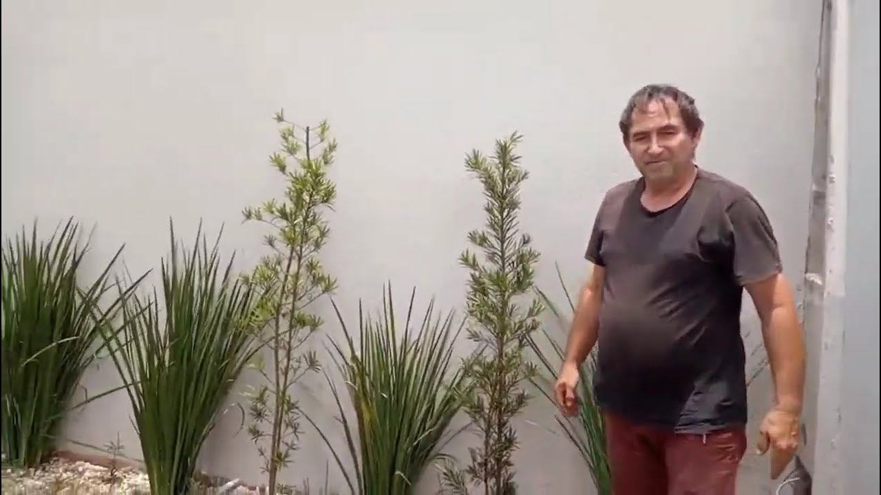 Manutenção em Jardim 