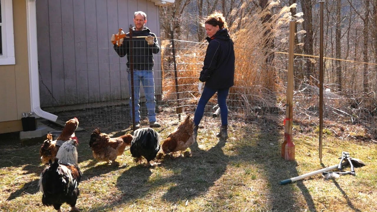 Let's make the rooster bachelor pad! - Ep. 112