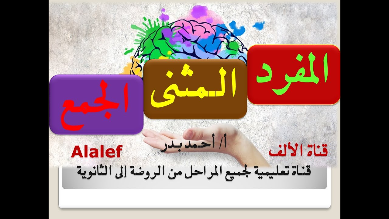 المفرد والمثنى والجمع الاسم من حيث عدده #المفرد_المثنى_الجمع
