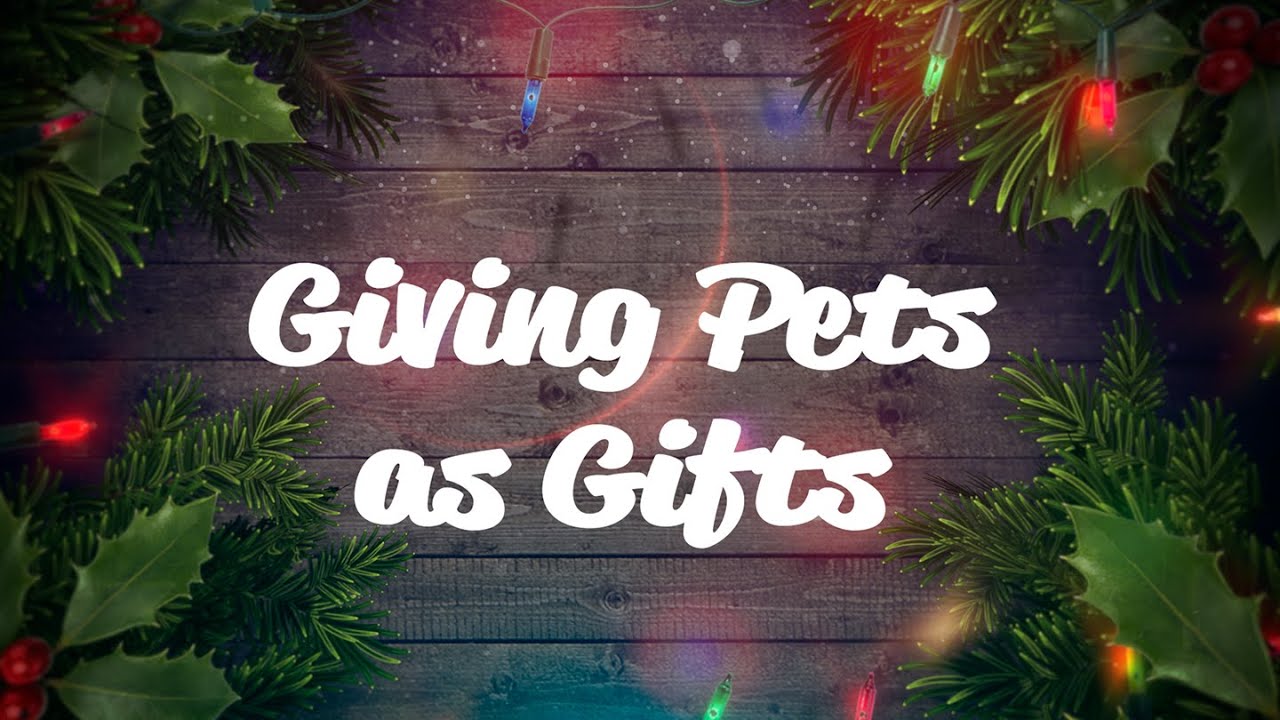 Giving Pets as Gifts